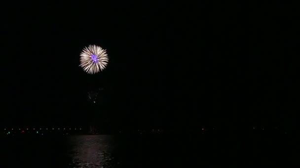 Feux Artifice Lumineux Multicolore Dans Ciel Nocturne Dessus Rivière Reflétant — Video