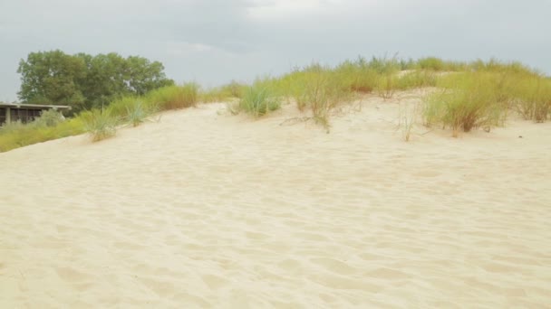沙丘沙滩俯瞰蓝色的大海. — 图库视频影像