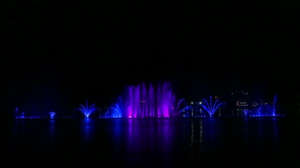 Нічне шоу фонтанів різнокольорових на воді, відображених у воді — стокове відео
