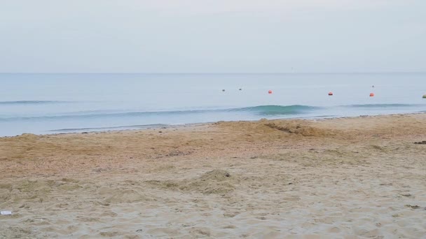 Orilla del mar con olas en un día no caluroso . — Vídeos de Stock
