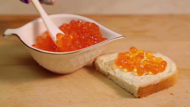 Una mano femminile stende un panino al caviale con caviale rosso — Video Stock