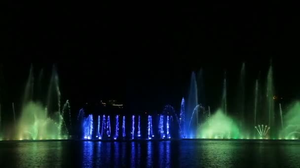 Spectacle nocturne de fontaines brillantes avec différentes couleurs et formes et réflexion dans l'eau — Video