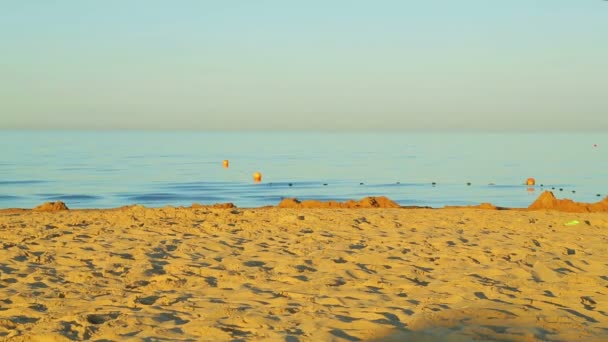 Calm sea and sandy shore after sunrise — Stock Video