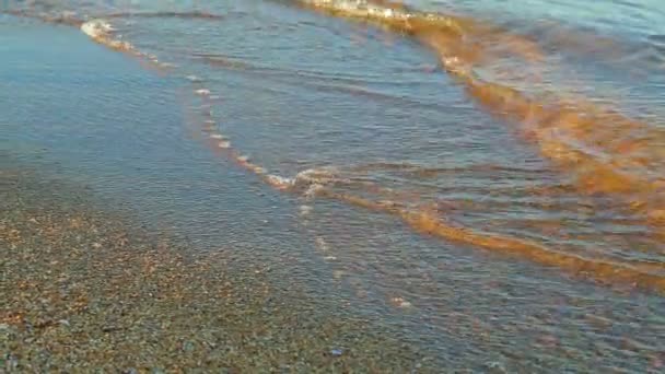 Pequeñas olas se precipitan a la orilla arenosa en la mañana después del amanecer — Vídeo de stock