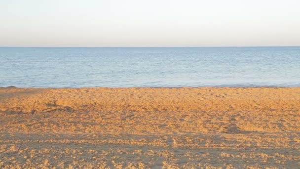 Playa arenosa y mar azul al amanecer — Vídeos de Stock