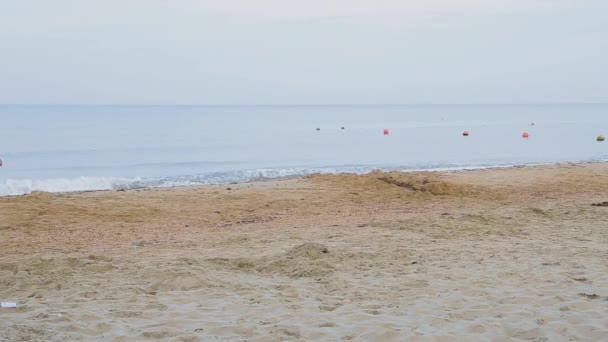Um homem e uma mulher caminham ao longo da praia de mãos dadas — Vídeo de Stock