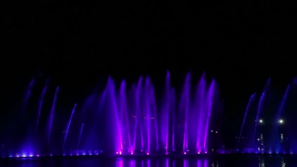 Een show van fonteinen veelkleurig op het water weerkaatst in het water — Stockvideo