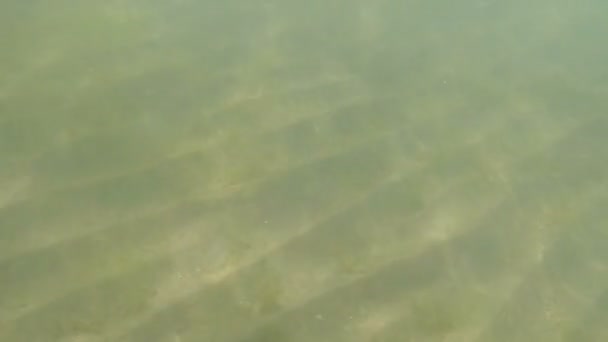 Eau de mer transparente soleil éblouissement sur le sable .