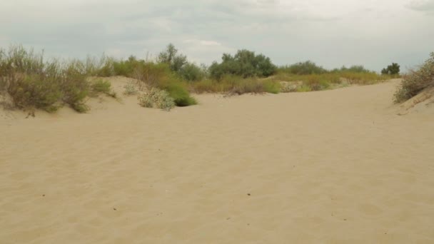Dune plage de sable avec vue sur la mer bleue 