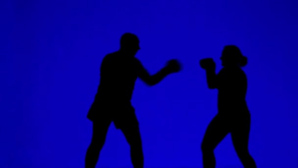 Silhuetas de homem e mulher em luvas de boxe durante um treinamento de combate — Vídeo de Stock
