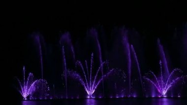 Gece gökyüzünün arka planına karşı su kaynaklarından gelen sürülerin çok renkli kombinasyonları
