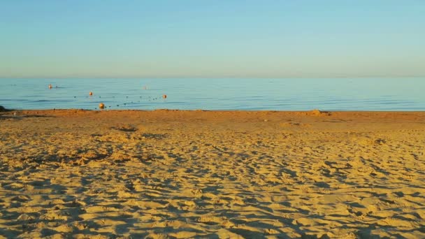 Ruhiges Meer und goldener Sandstrand nach Sonnenaufgang — Stockvideo