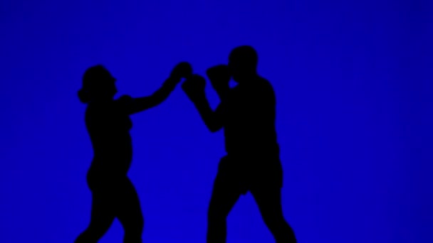 Spor yaparken boks eldivenli kadın ve erkeğin siluetleri. — Stok video