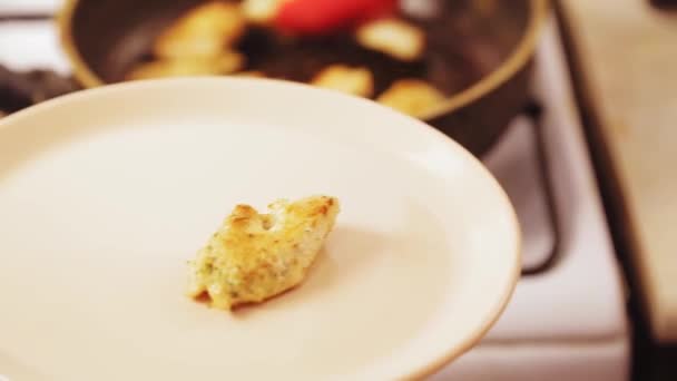 Tartinade de filet de poulet dans une assiette avec tsipami . — Video