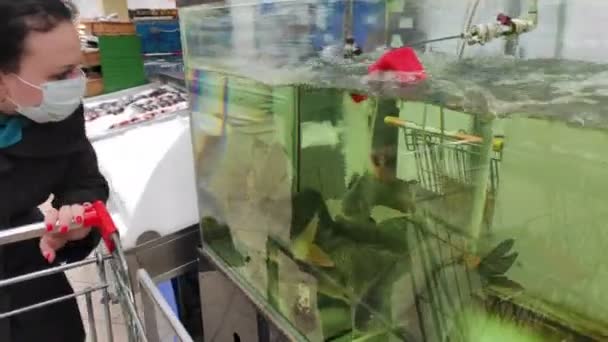 Mağazadaki koruyucu maskeli kadın alışverişçi akvaryumdan canlı balık seçiyor. Yavaş çekim. — Stok video