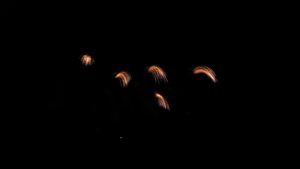 Fuegos artificiales de colores sobre un fondo negro del cielo nocturno . — Vídeos de Stock