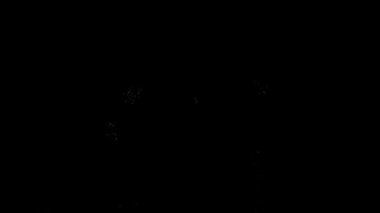 Gece gökyüzünün siyah arka planında çok renkli parlayan havai fişekler