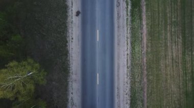 Yol orman boyunca uzanıyor ve yukarıdan ekili tarlalar.