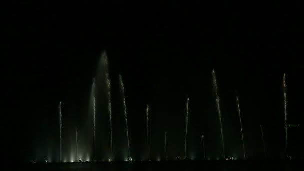 Unusual water compositions shimmering in different colors of fountain shows — Stock Video