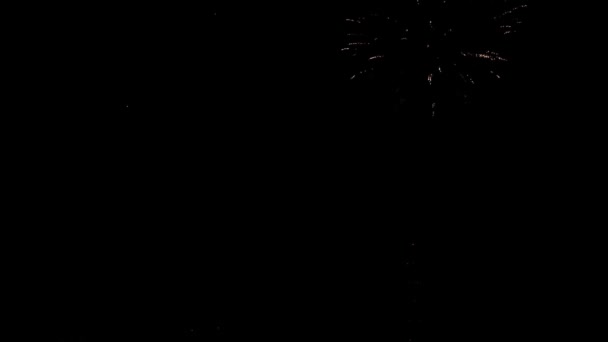 Fogos de artifício brilhantes multicoloridos em um fundo preto do céu noturno — Vídeo de Stock