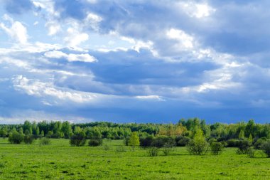 Bahar arazisi genç yeşilliklerle kaplıydı ve gökyüzü kümülüs bulutlarıyla kaplıydı.
