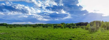 Günbatımından önce manzara bahar bulutlu gökyüzü ve arka planda orman