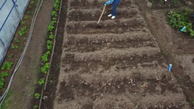 Kulübedeki bir kadın domuz yaparak çapayı gevşetiyor..