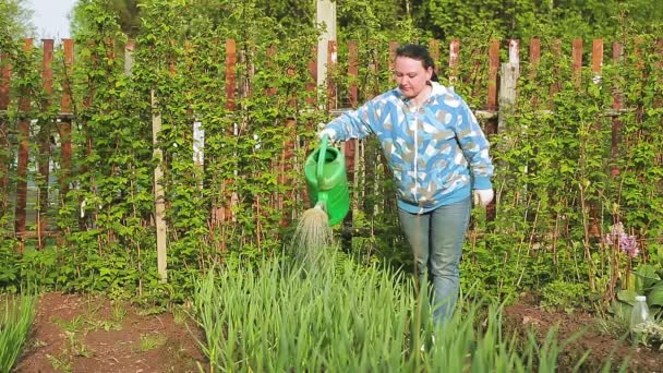 Uma mulher nova no país que molha colheitas de uma lata molhando — Vídeo de Stock