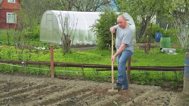 Een man in het land graaft een schep aarde — Stockvideo