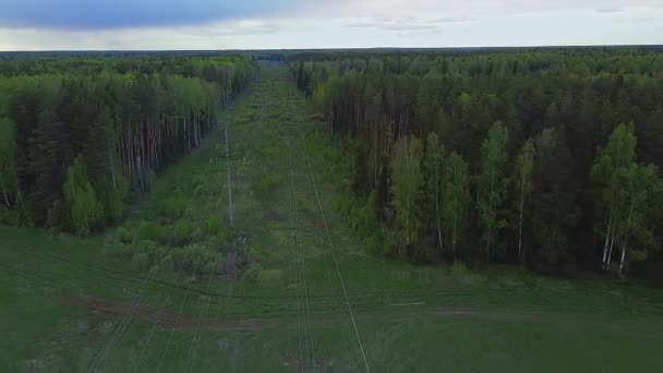 Linhas Energia Longa Distância Ambos Lados Floresta Primavera Verde Top — Vídeo de Stock