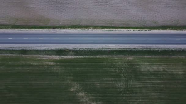 Pista Corre Largo Del Bosque Sembró Campos Desde Arriba Fotografía — Vídeo de stock