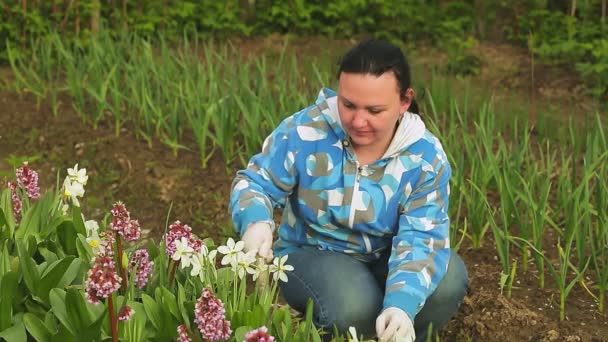 Mladá Žena Venkově Uvolňuje Půdu Květinovém Záhonu Celkový Plán — Stock video