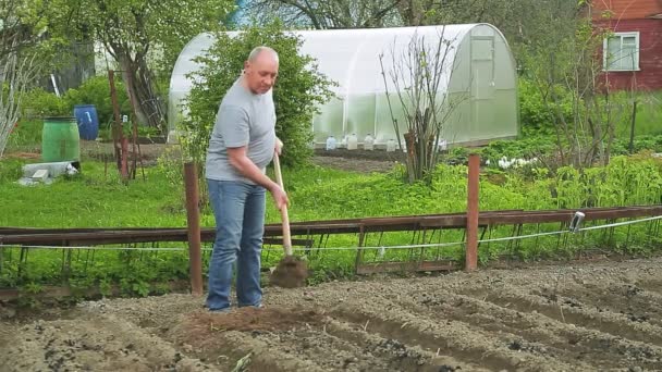 田舎の男はシャベルの土を掘る 計画全体 — ストック動画