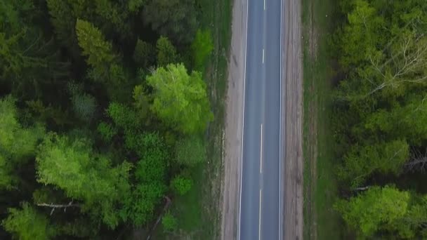 Carretera Lisa Ambos Lados Del Bosque Vista Superior Vídeo Aéreo — Vídeos de Stock