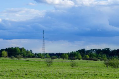 Bahar manzarası genç yeşilliklerle kaplıydı ve gökyüzü kümülüs bulutlarıyla kaplıydı. Yatay fotoğraf
