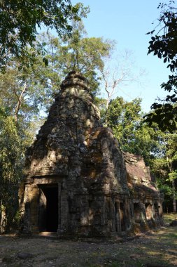 Bay Singapur bahçelerle günbatımında
