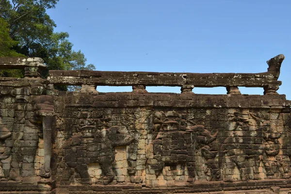 Elephant lindring på väggen runt Angkor Wat komplex i Sie — Stockfoto