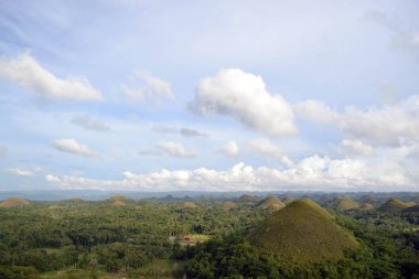 Çikolata Hills. Cebu, Filipinler yer. Ne bir geolog