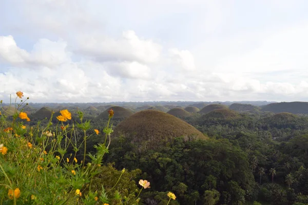 Chocolate Hills. Situado en Cebú, Filipinas. ¡Qué geólogo! — Foto de Stock