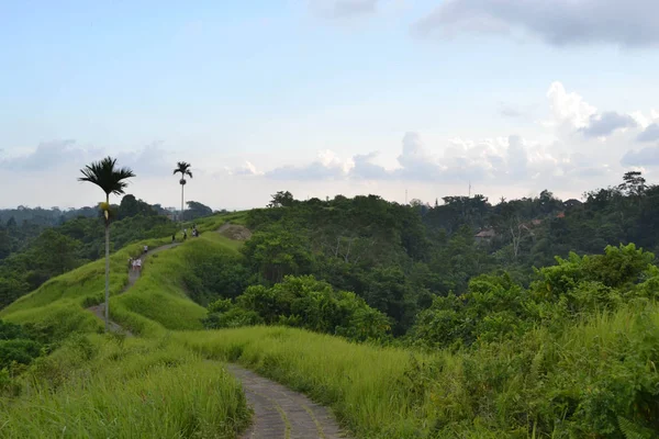The view around Campuhan ridge in Ubud, Bali. A nice track with — Stock Photo, Image