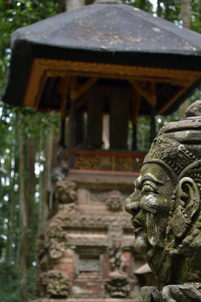 El templo del mono en Sangeh, isla de Bali - Indonesia — Foto de Stock