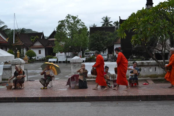 El ritual de dar limosnas (los monjes recogiendo limosnas) en Luang P — Foto de Stock