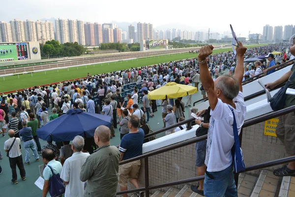 At-yarışı Hong Kong sırasında ifade. Bazı mutlu olduğunu