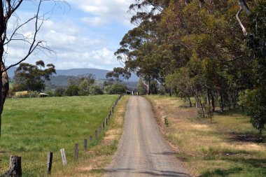 Toprak yolda yürürken keşiş