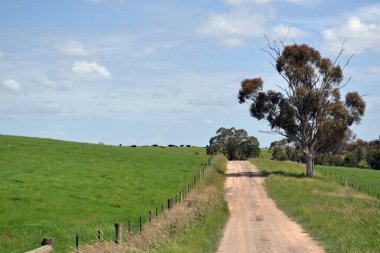 Toprak yol grubundaki, Victoria, Avustralya