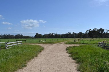 Düz manzara otlak, Tarrawara, Victoria, Avustralya. PIC Kasım 2016 yılında çekildi.