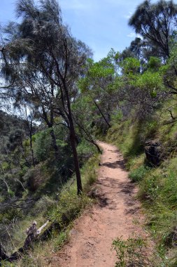 Morialta koruma Park, Adelaide, Güney Aust çevresinde görünümü