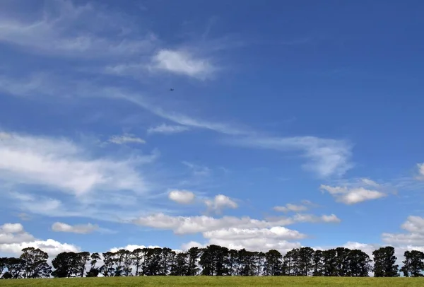 Die ebene landschaft von grasland, in tarrawara, victoria, austra — Stockfoto