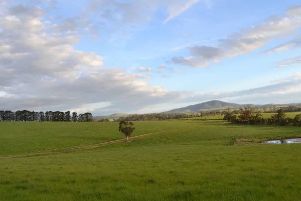 草原では、Tarrawara、ビクトリア、オーストラリアの平野の風景 — ストック写真