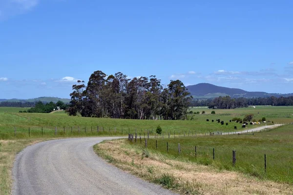 オーストラリア、ビクトリア州の農場で未舗装の道路 — ストック写真